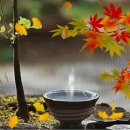 순리(順理) 이미지