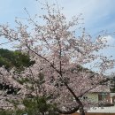 하산 농장 이미지