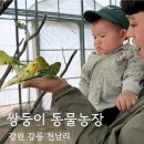 여님농장 | 강릉 아이랑 가볼만한 곳 🐾 쌍둥이 동물농장 후기 (가성비 최고 체험형 동물원)