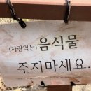 이제, 단양 이미지