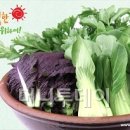 행복한마을밥상 이미지