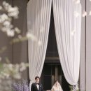 롯데호텔 부산 웨딩 2025 쇼케이스 #세인트지지오티