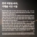 사귐, 여운이 물결처럼’ 관람기 – 조선통신사와 한일 평화 외교의 신뢰, 예술, 그리고 동아시아 삼국...