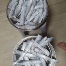 이용학님 풀치 이미지