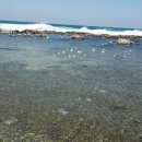 대동모텔 이미지