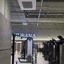 성신헬스 | 일요일엔 ‘완주’ 대신 ‘정돈’ — 성신여대입구역 헬스 후기