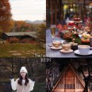 이카루 | 도쿄 근교 여행 가루이자와 호시노리조트 BEB5
