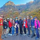 옛 철길 이미지