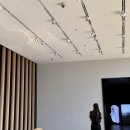 배곧엠플러스(M플러스) | 홍콩 엠플러스 전시 뮤지엄 티켓 입장료 홍콩 미술관 추천 가볼만한곳 여행 일정