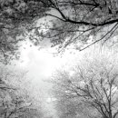 위례성로 이미지