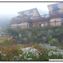 미산힐링 이미지