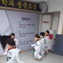 용인대용전태권도 이미지