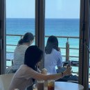 수줍은도시락 | 약속 지키려고 꾸역꾸역 돌아온 나