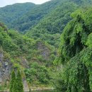 평창강힐링하우스 이미지