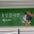 고내리안 민박 | [제주도] 제주도 2박 3일 여행 코스 추천 만족했던 코스와 맛집 1일차