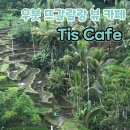 발리 우붓 뜨갈랄랑 뷰 카페 추천, 티스카페(Tis cafe) 후기(메뉴)