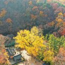 창호목장 이미지