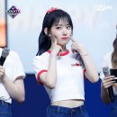 미야와키 사쿠라 카카오 검색결과