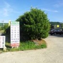 녹수청산 이미지