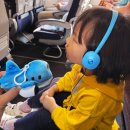 어바웃레스트 | 아기랑 브리즈번공항 대한항공KE408 좌석지정 기내식 키즈밀 어린이기념품 대한항공키링 후기