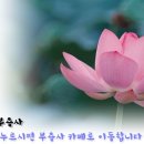 부용사주차장 네이버블로그