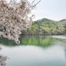 인피니티오션풀빌라 이미지