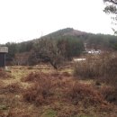 유수암리 산새미오름방묘 이미지