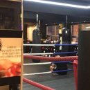 오비복싱 이미지