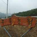 우목농원 Daum카페
