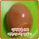 계란집 이미지