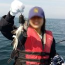 사이다펜션 이미지