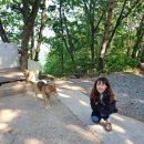 함백산 민박 이미지