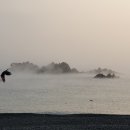 꿈길속에펜션 이미지