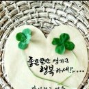 해달팥죽 이미지