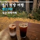 나무커피 | 일산 대형카페 옐로커피 은행나무 주말 방문 후기