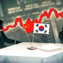 법률사무소지형 머니투데이