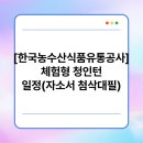 [한국농수산식품유통공사] 체험형 청인턴 일정(자소서 첨삭대필)