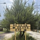 [공주] 계룡산 글램핑 파크오브드림 | 가족 글램핑 후기