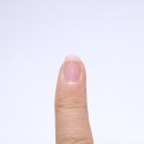 마이미네일