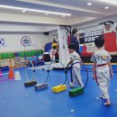 팰리스 태권도장 이미지