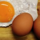 행복양계장 이미지