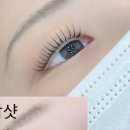 하늘속눈썹