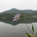 송참봉조선동네 티스토리