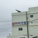 기장 3대 아구찜 맛집 일미아구찜 후기