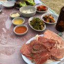 금남멧돼지 이미지