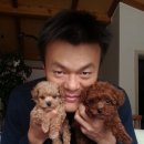 호두랑파이랑 이미지