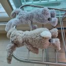 타워세탁 이미지