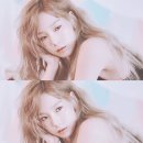쎄시 이미지