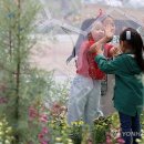 함평나비축제 18만명 찾아…입장료 수입 7억2천만원 이미지