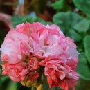 솔메이트 이미지